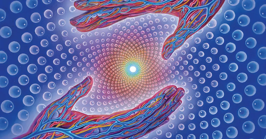 dmt