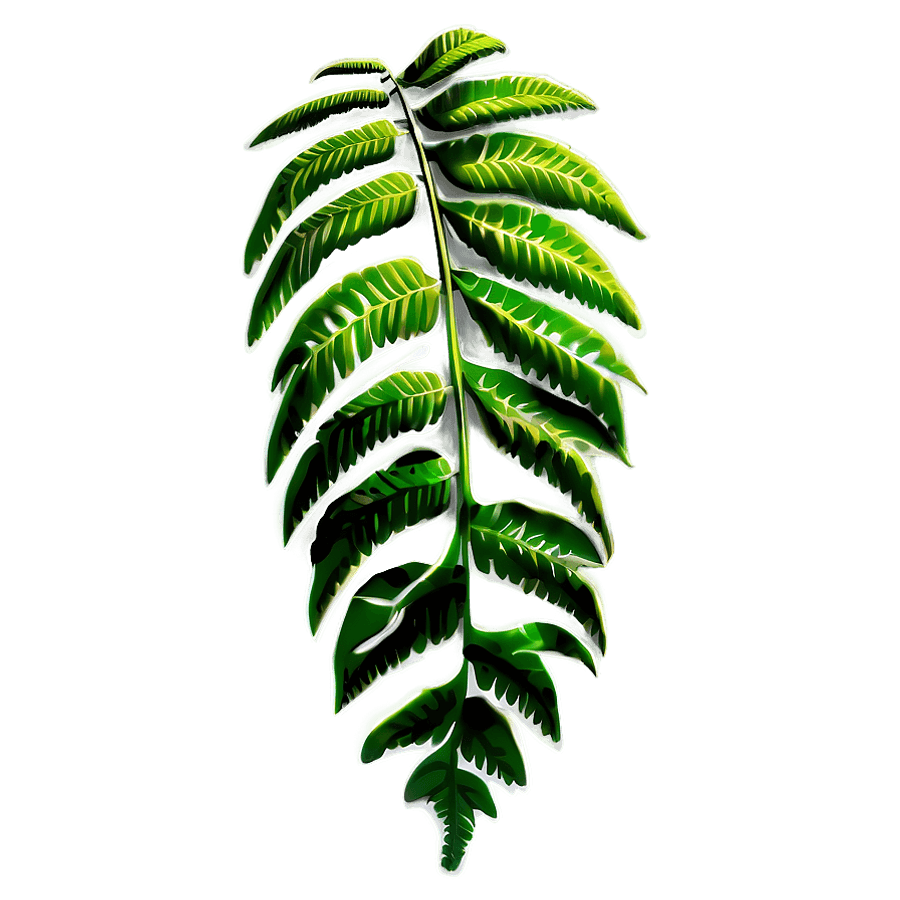 Fern Outline PNG 05252024
