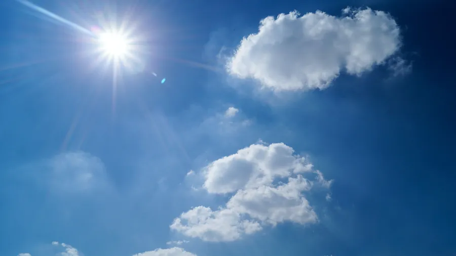 sunny Background