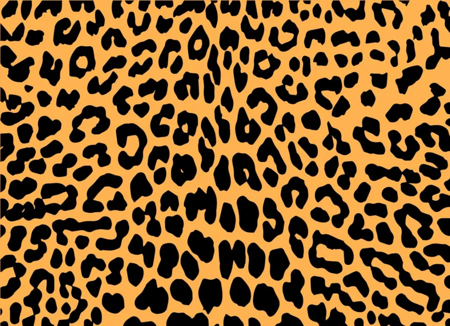 Leopard Pattern