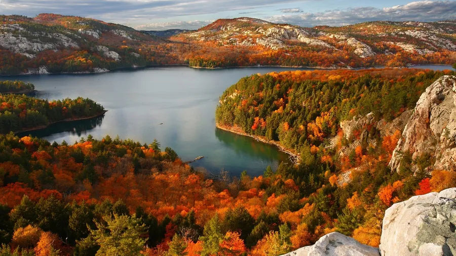 Fall Colors