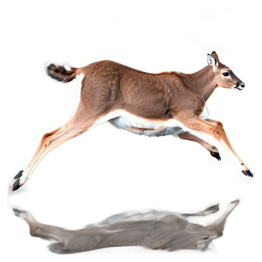 Doe Running Fast PNG xso