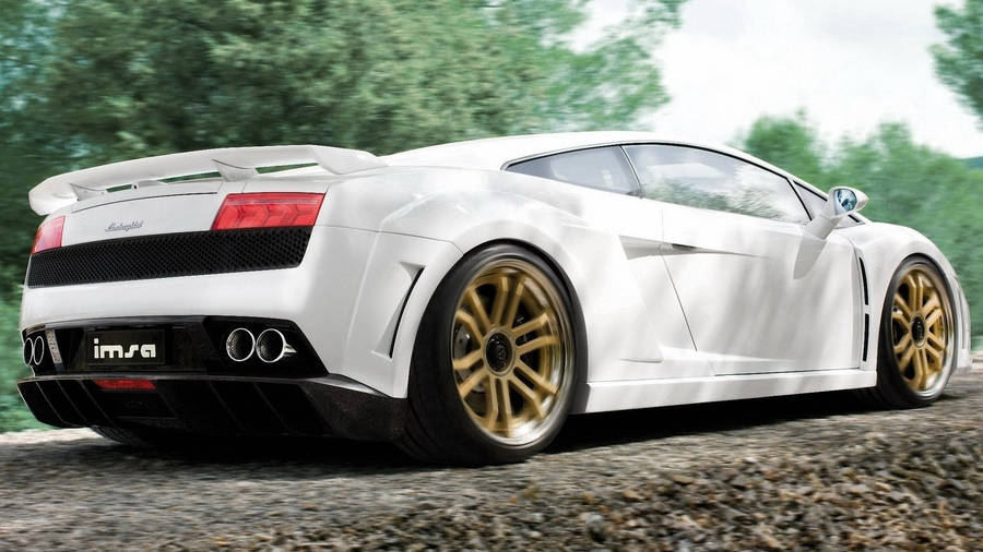 White Lamborghini moving vehicle on the road with trees on background.