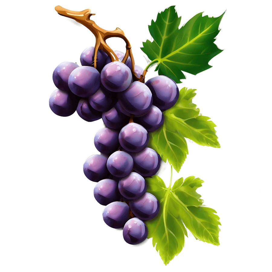 Single Juicy Grape PNG 06292024