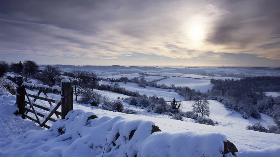 Best Winter