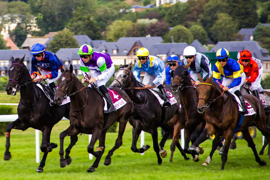 Aksi Balap Kuda Festival Cheltenham