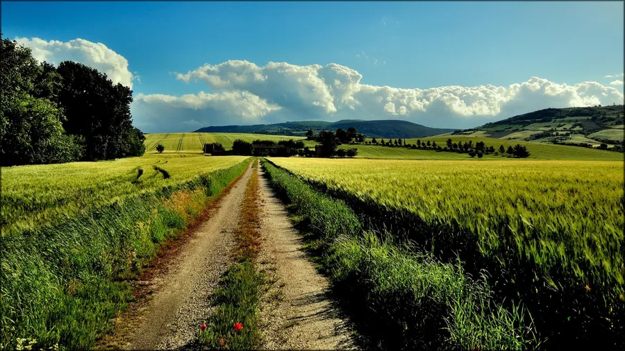 Farm Desktop