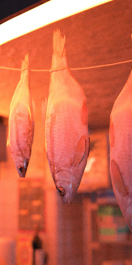 Unvibrante pesce riposante sul fondo sabbioso di un oceano al tramonto.