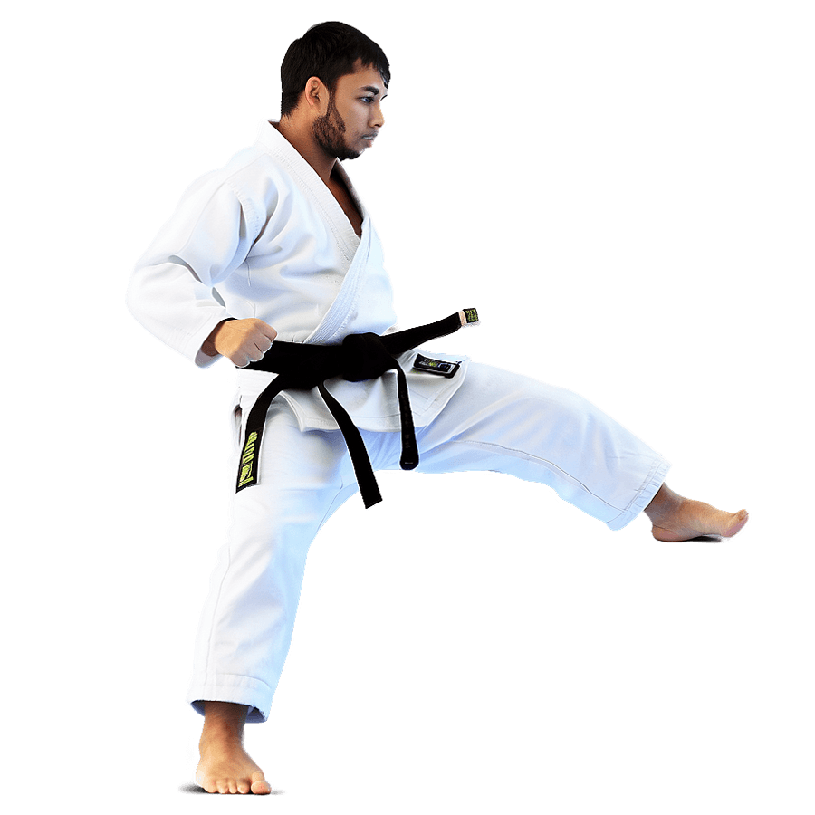 jiu jitsu a