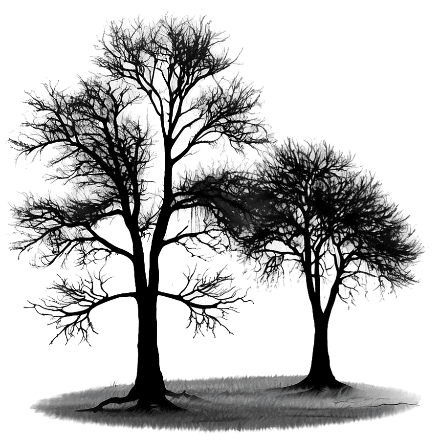 Black Trees in Fog PNG 91