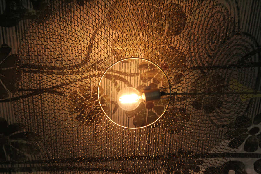 Luz Pendente Moderna Cativante