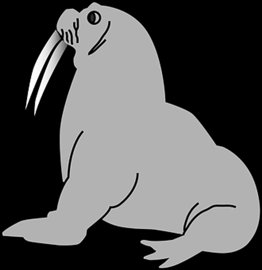 Walrus Vector Illustration