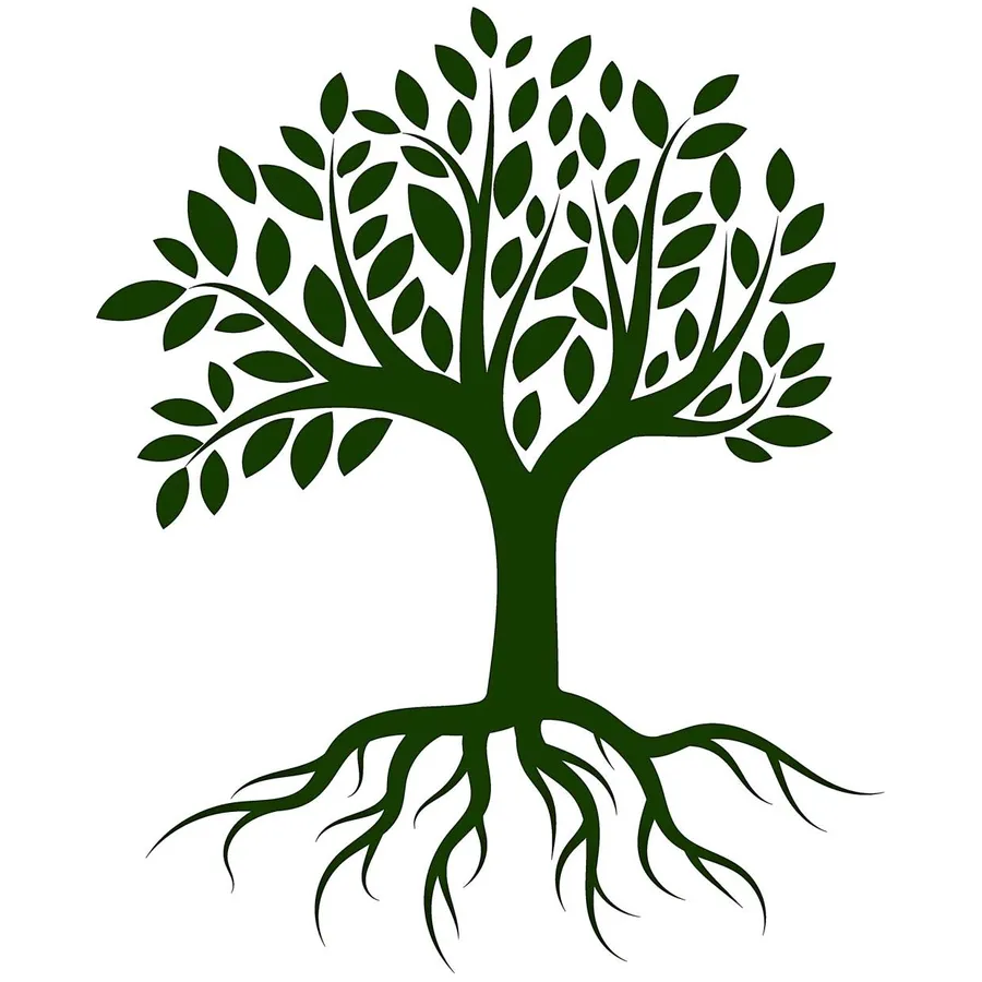 Tree pictures