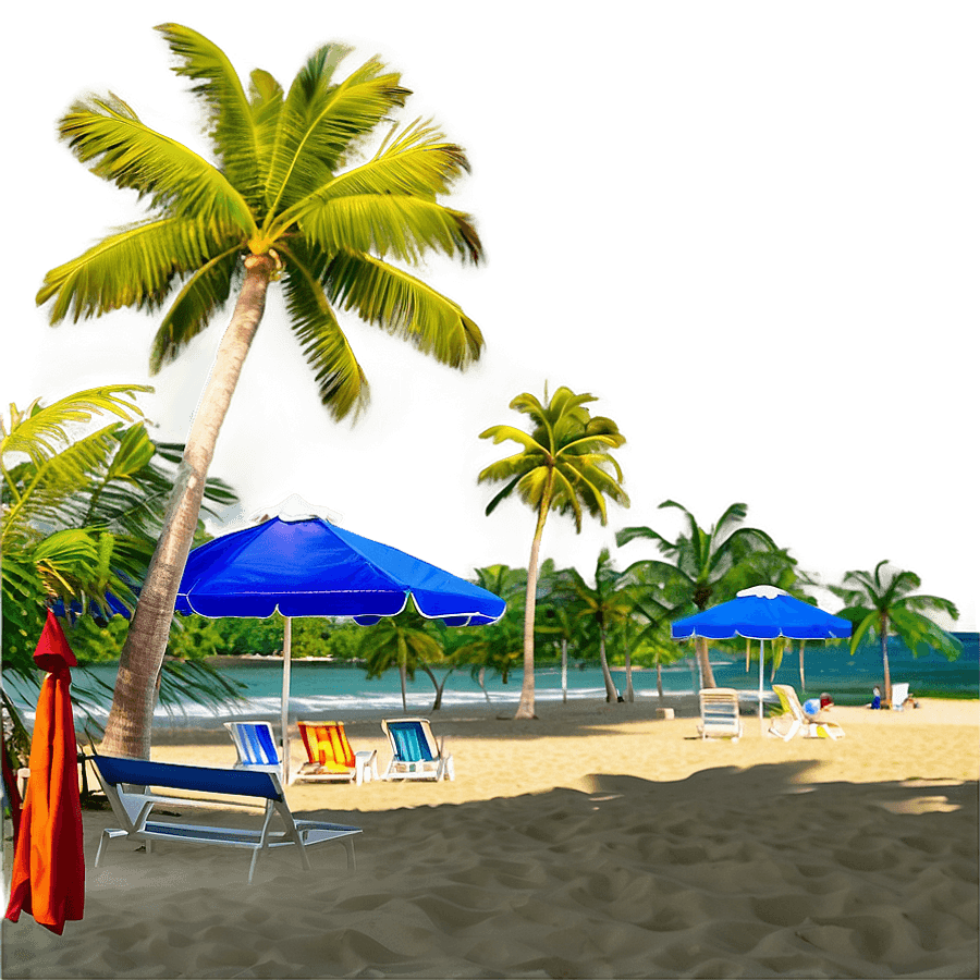 Crandon Park Beach Miami PNG gqh
