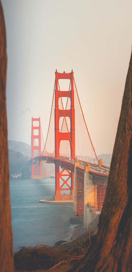 Vista da Ponte Golden Gate