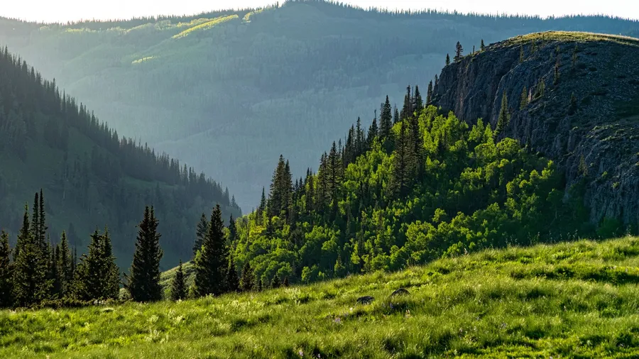 Scenic Background