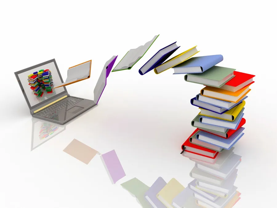 Education Background