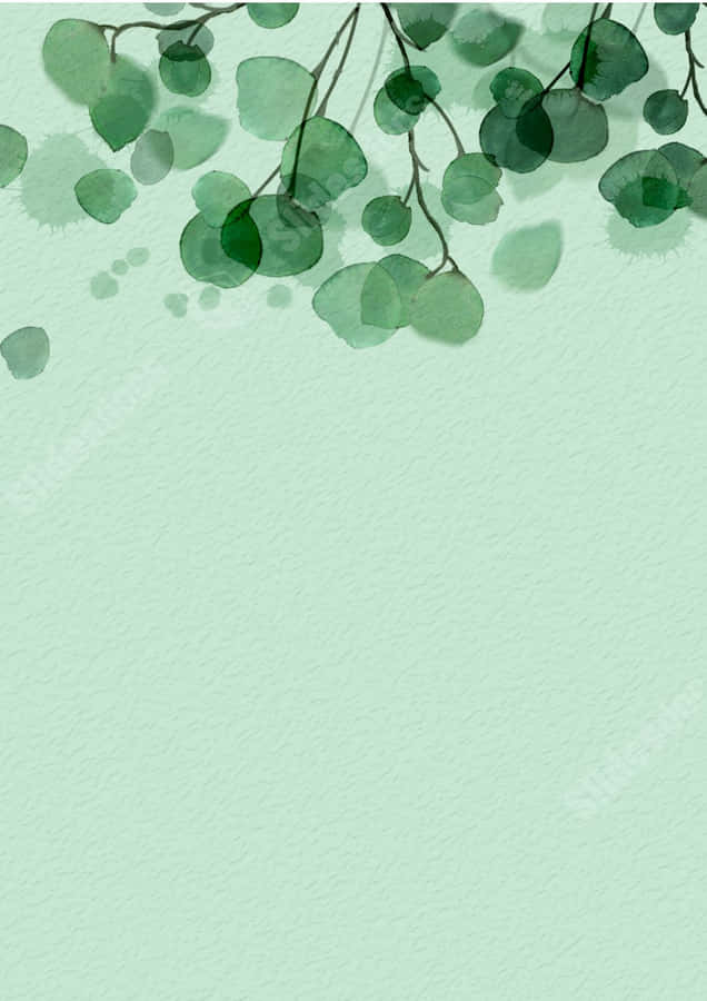 Acquerello Minimalista di Eucalipto Verde