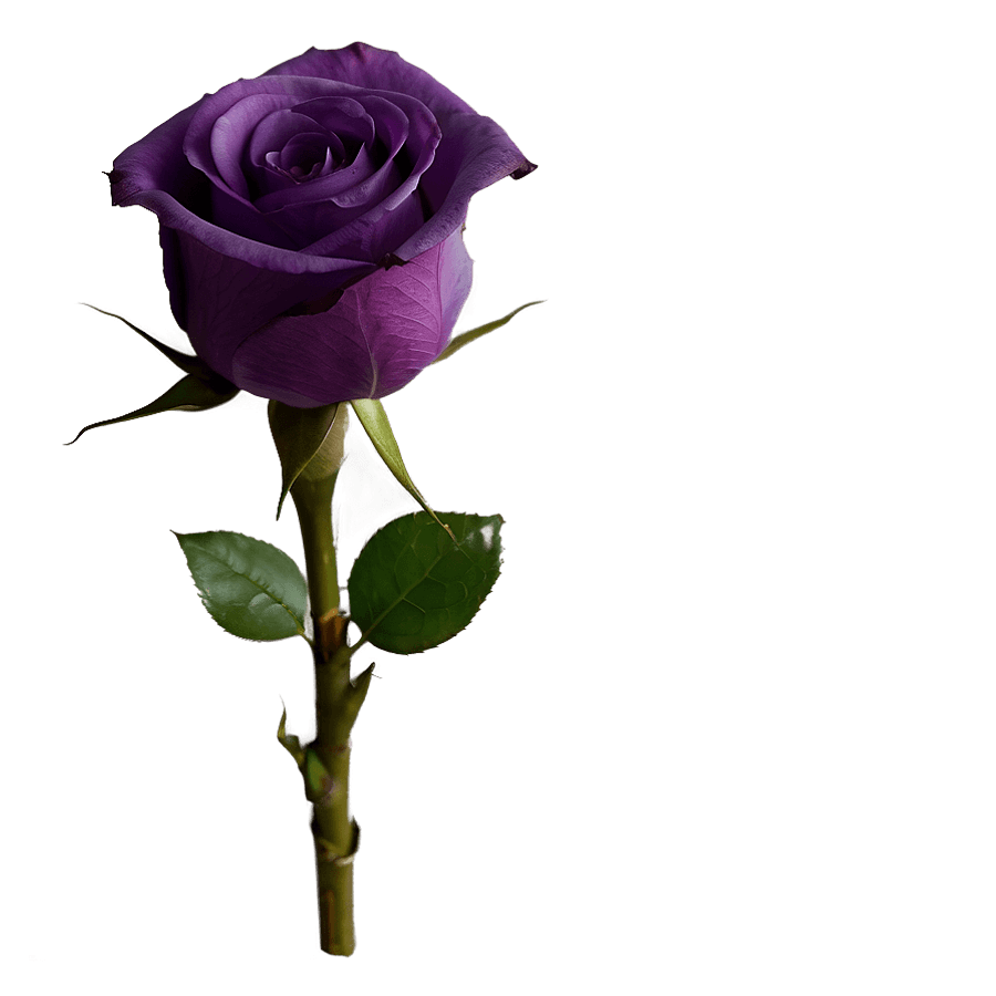 Purple Rose Bouquet PNG 06242024