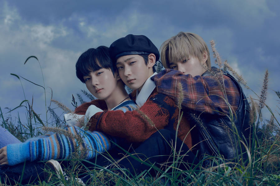 "EnhypenSunWonKi Line" could be translated to "Enhypen SunWonKi-linjen" in Swedish. This would likely refer to a specific design or image featuring the member SunWonKi from the K-Pop group Enhypen, possibly intended for use as wallpaper on a computer or mobile device.