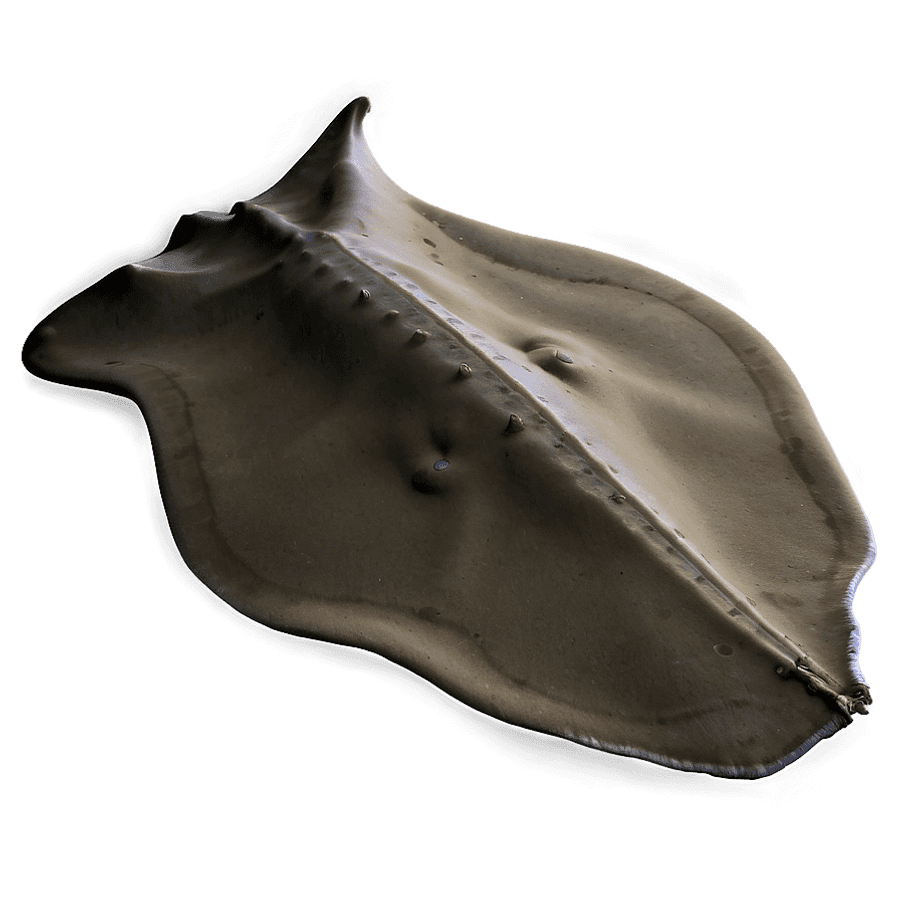 Stingray on Sand PNG mnj22