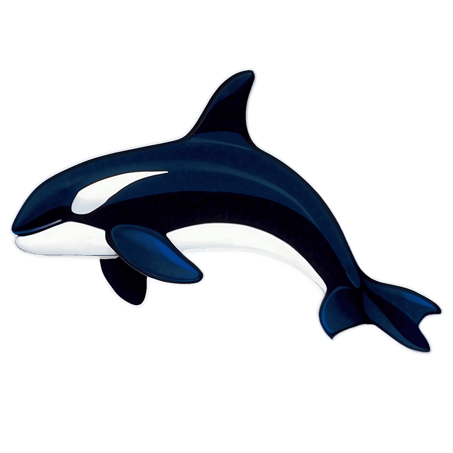 Abstract Orca Whale Art PNG iig