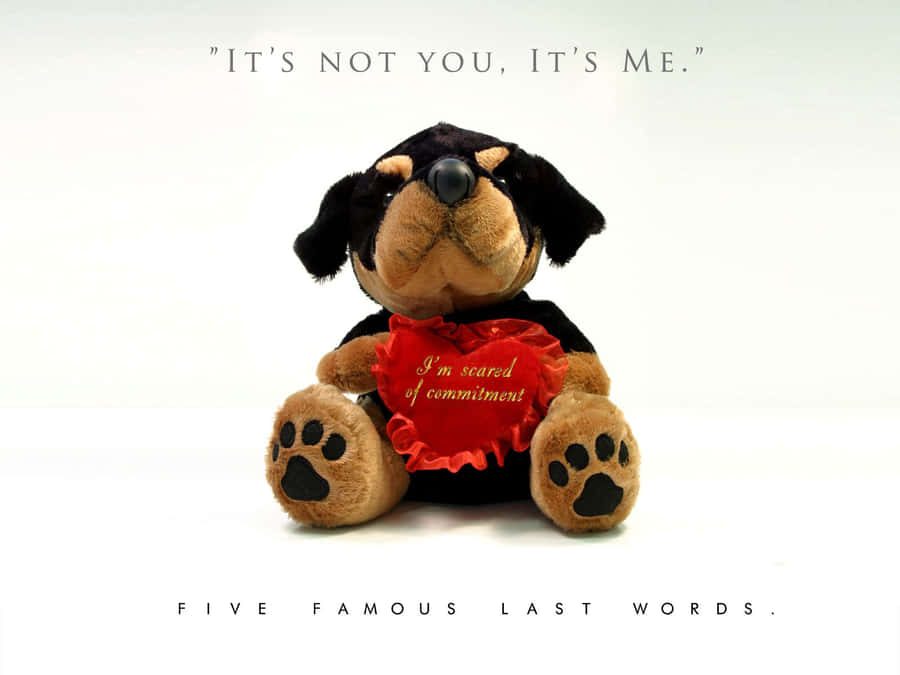 Cachorro de Pelúcia com Medo de Compromisso