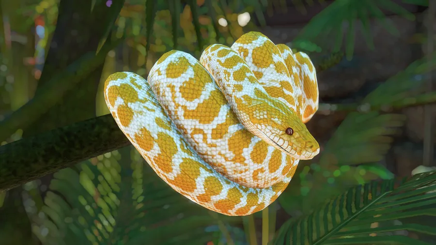 Python