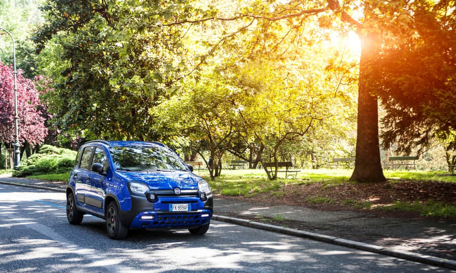 Fundode tela do Fiat Panda 1500 x 900