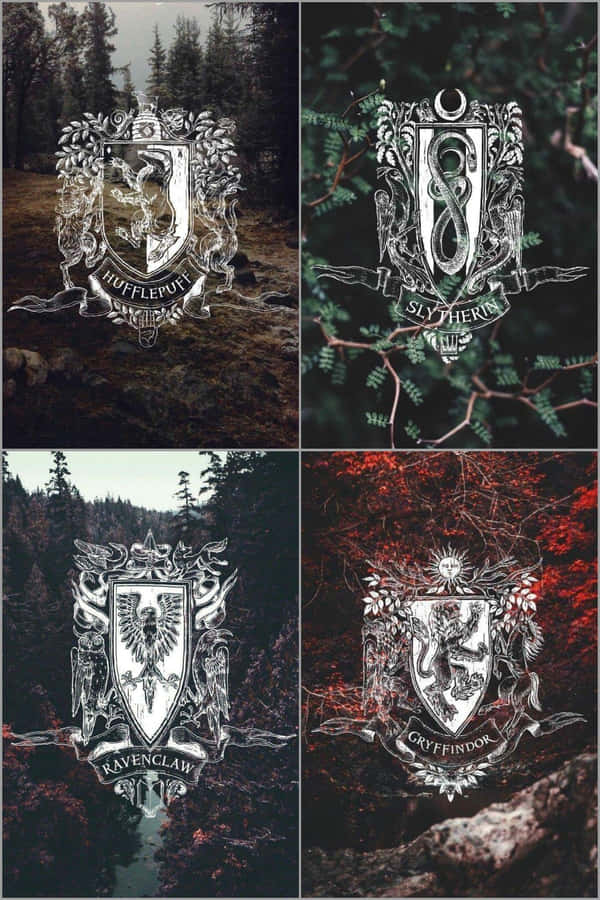 Hogwartshusen - Harry Potters magiska universum.