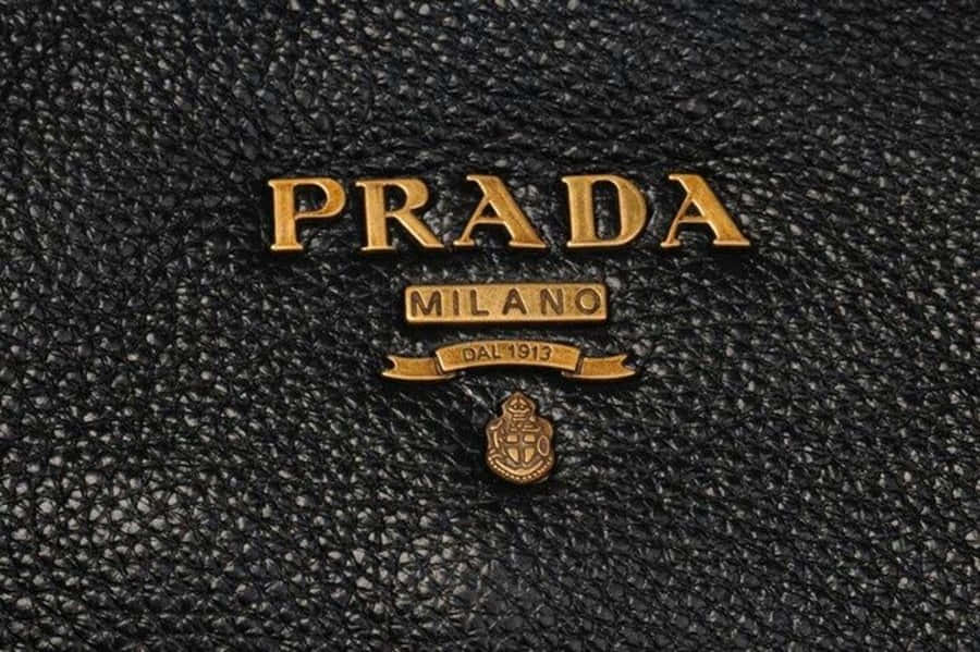 Forhøjdit udseende med Prada.