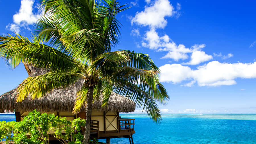 Une vacance pittoresque au bord de la mer