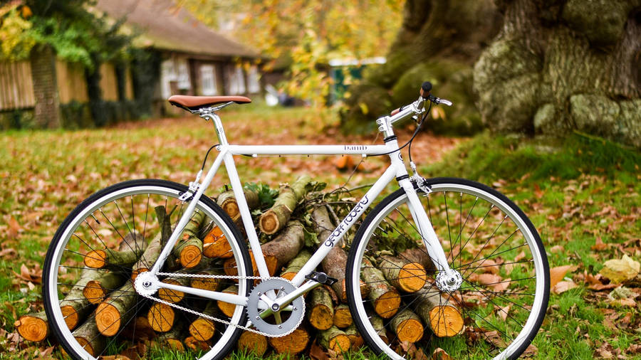 WeißesRennrad und gehacktes Holz