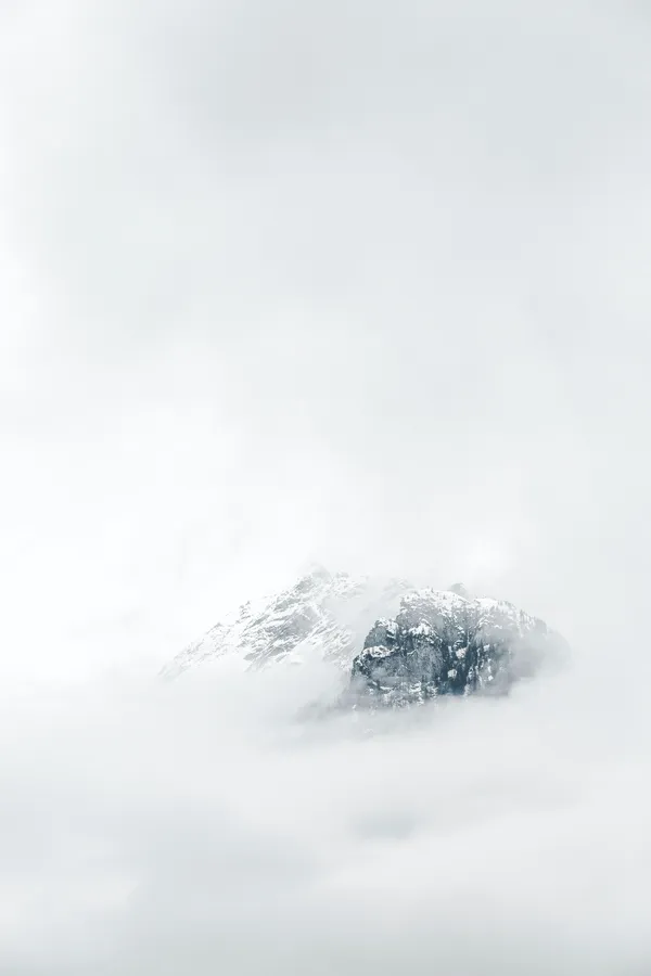 White Iphone Background