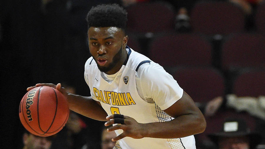JaylenBrown Kaliforniska högskolan Bakgrundsbilder