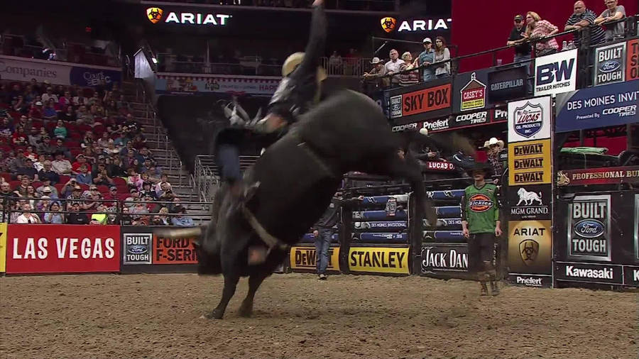 Bull Ridning 1920 x 1080