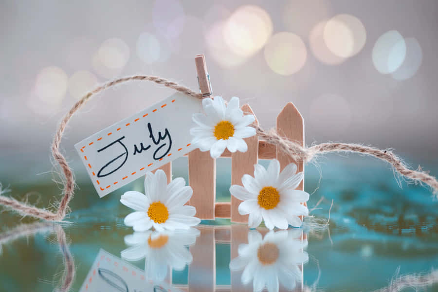 Juli Desktop-Thema mit Gänseblümchen und Kalender