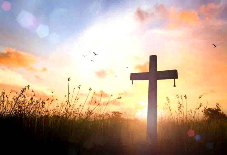 Download Jesus Cross In The Meadows Wallpaper | Wallpapers.com