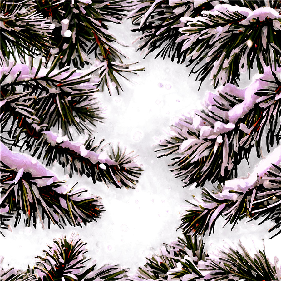 Snowfall on Pine Trees PNG 05232024