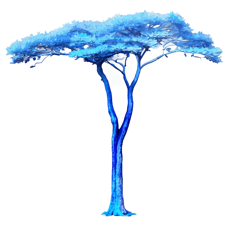 One Tree Hill Dawn Light PNG 8