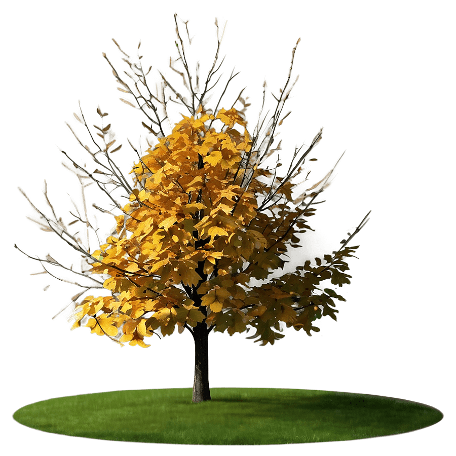 Isolated Fall Tree PNG hie73