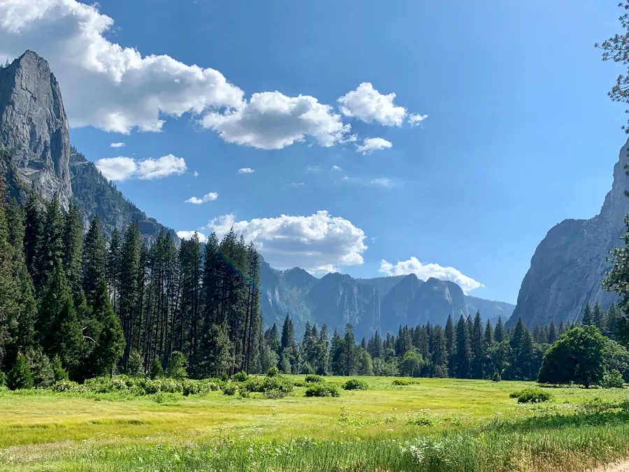 Nature Background