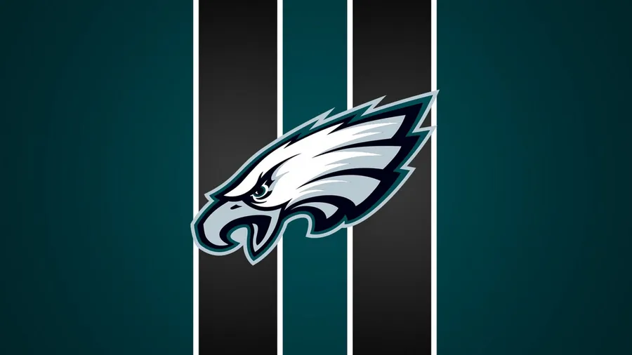Nfl Teams