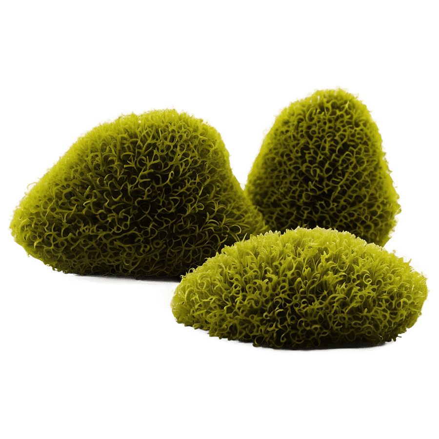 Twilight Moss PNG yve44