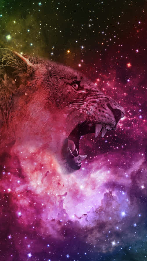 Bestaunedie Schönheit der Tiger-Galaxie.