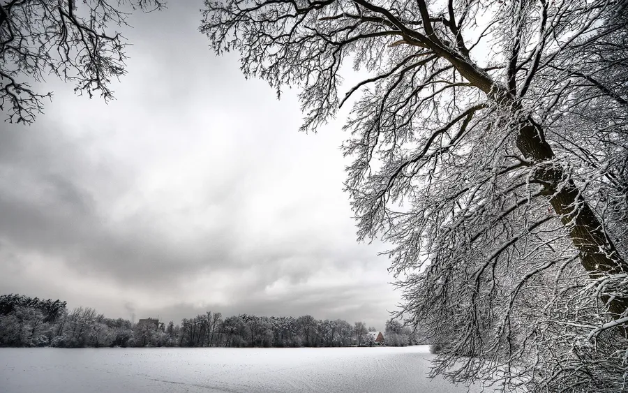 Winter Scenery Desktop