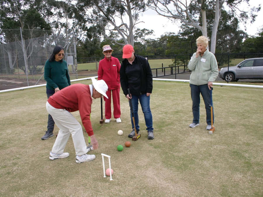 Ulkoilma Croquet-pelin Asetelma