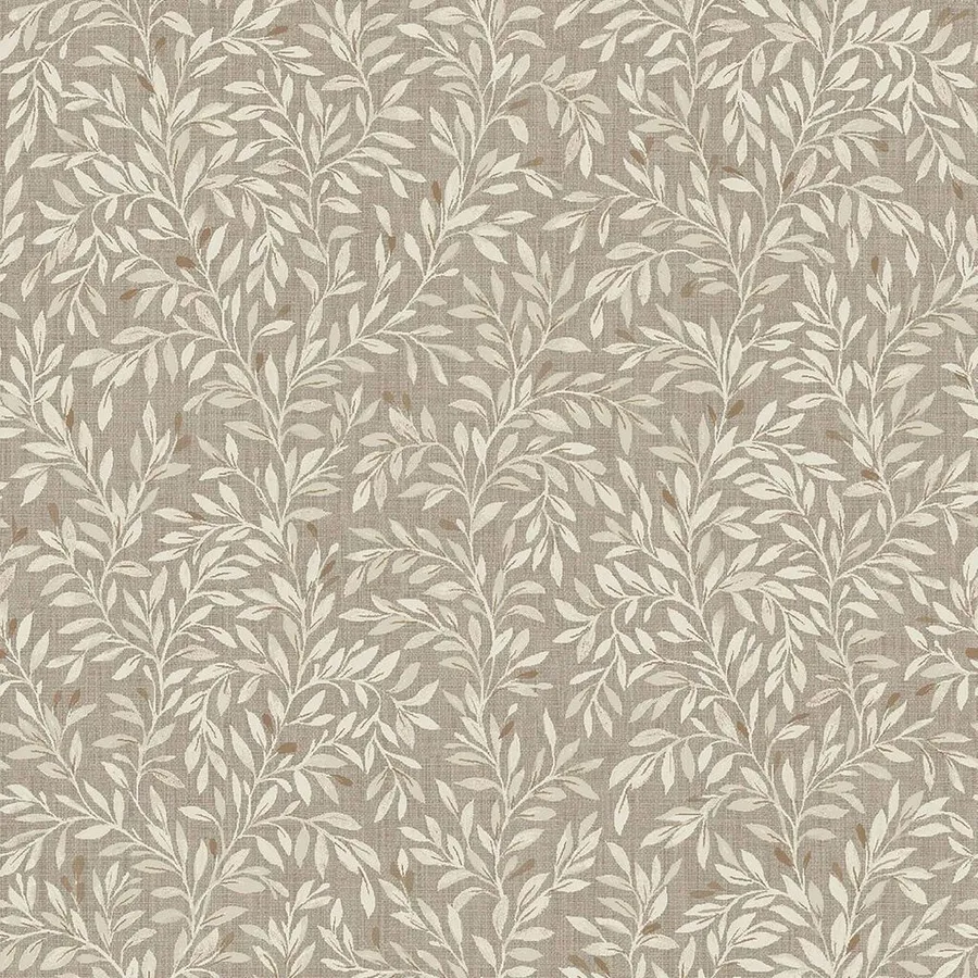 Neutral Background Background