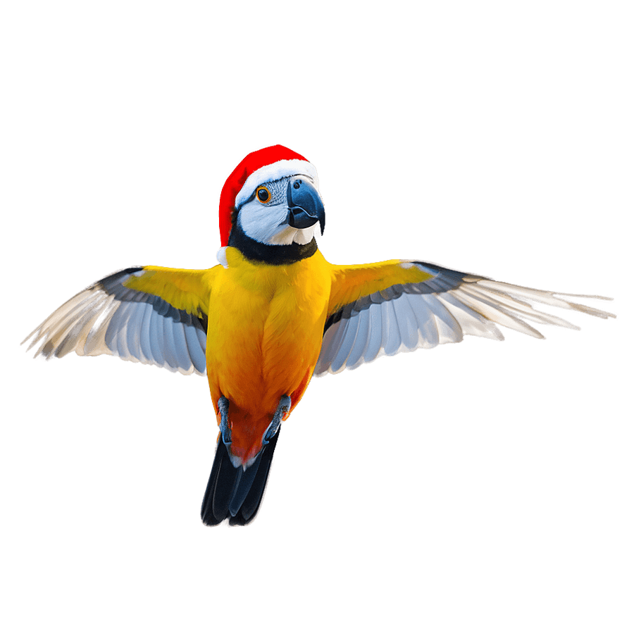 Santa Cruz Bird Watching PNG iyw