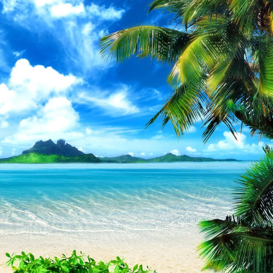 Summer Ipad